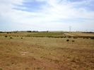 Vente Terrain Bouskoura Centre ville 60000 m2