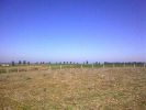 Vente Domaine agricole Casablanca Centre ville