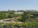 Vente Appartement Casablanca Californie