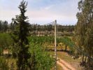 Vente Domaine agricole Casablanca
