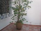 Location Appartement Casablanca Franceville