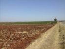Vente Terrain Casablanca Maarif 65535 m2