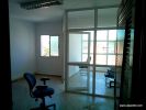 Location Bureau Casablanca Palmier