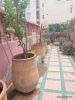 Location Appartement Casablanca Bourgogne