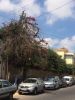 Vente Terrain Casablanca Centre ville