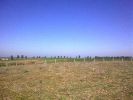 Vente Terrain Casablanca Centre ville