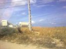 Vente Terrain Dar bouazza Centre ville