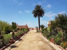 Vente Terrain Dar bouazza Centre ville