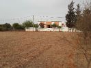Vente Terrain Mohammedia 53000 m2 10 pieces